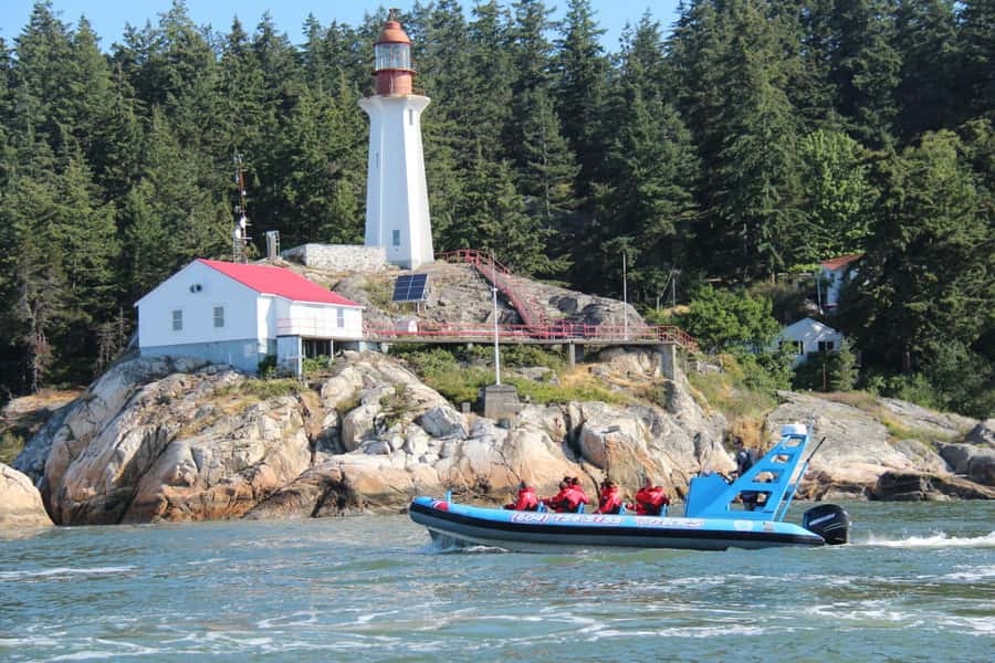 Vancouver: City and Seal Boat Tour - From Granville Island toward Stanley Park