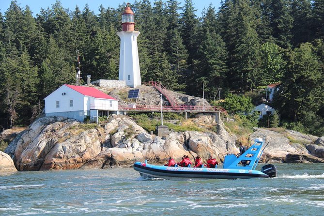 Vancouver City and Seal Colony Scenic Boat Tour - The seal colonies at Lighthouse Park and Grebe Islets