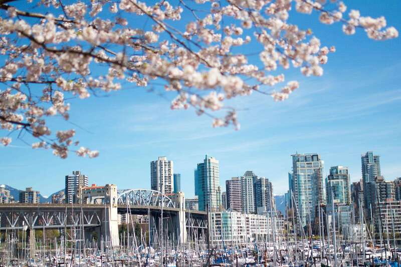 Vancouver: City & Granville Island Sightseeing Trolley Tour - Five details worth knowing before you book