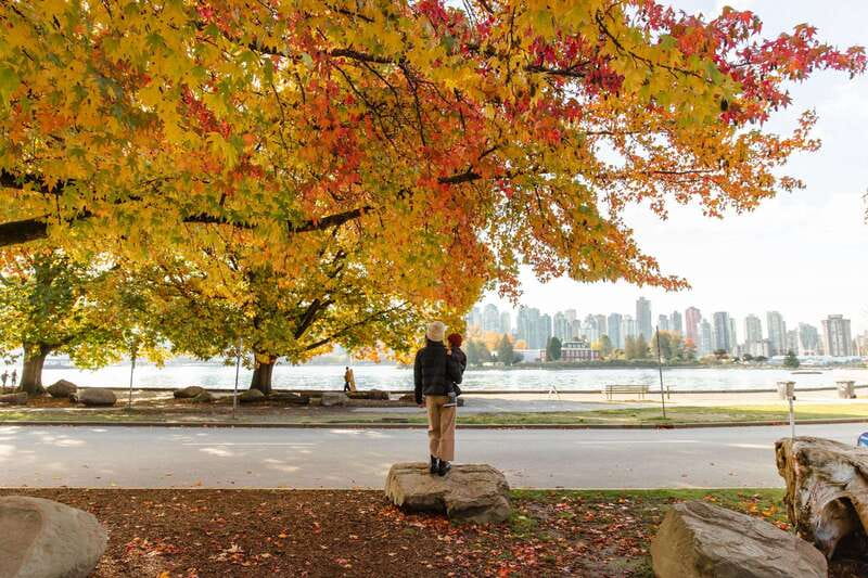 Vancouver: City & Granville Island Sightseeing Trolley Tour - Prospect Point for big views