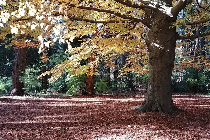 Vancouver City Highlights Explorer Private Tour - A private way to see Vancouver in one day