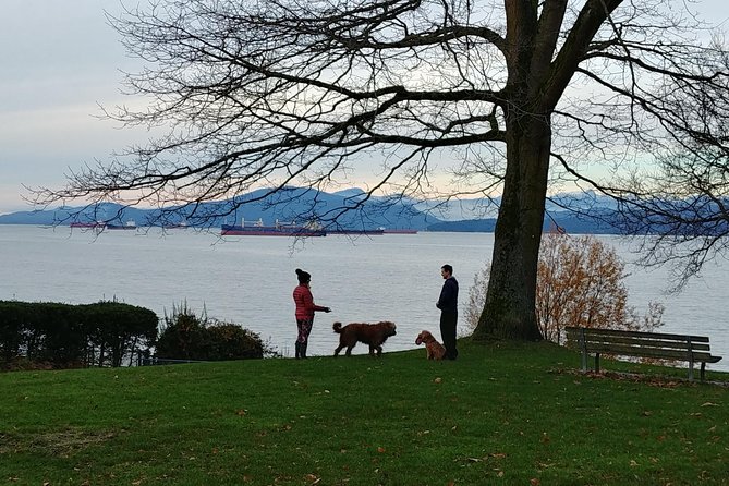 Vancouver City Highlights Explorer Private Tour - What the guide service adds