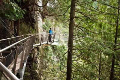 City+Lookout+Capilano Suspension Bridge Ticket