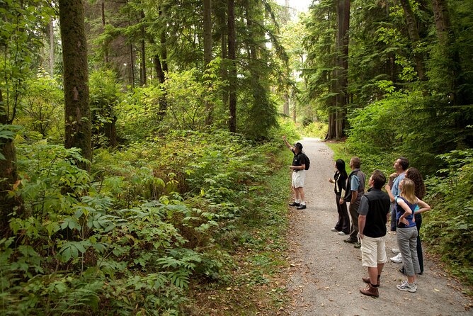 Vancouver City & Lookout Tour and Option to Add Airport Drop Off - Pickup, airport drop-off, and group size