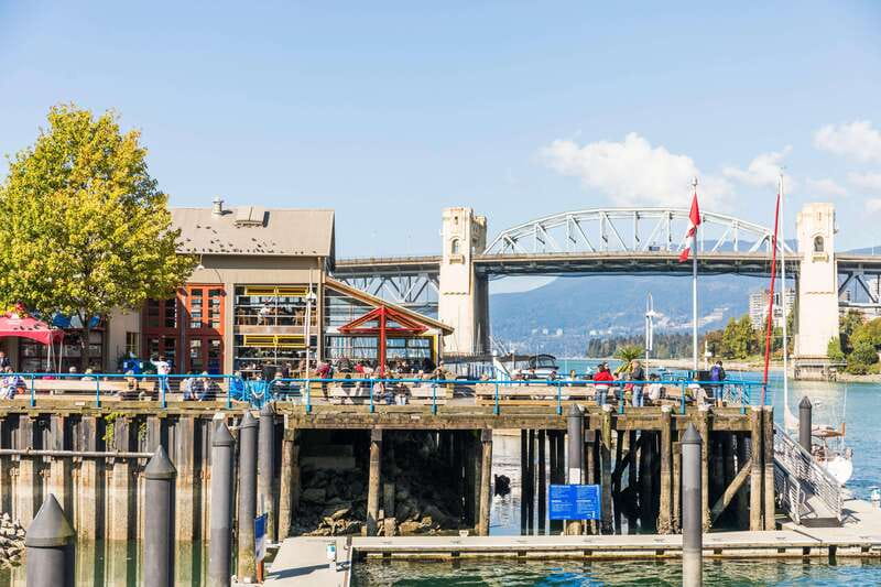 Vancouver: City + Lookout Tour & Option to Add YVR Drop-Off - Guides, vehicles, and the pace of the morning