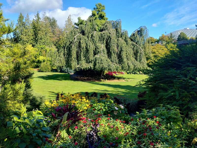 Vancouver City Tour: The Only Full Small-Group Car Tour - Stanley Park’s totems, lighthouse, and forest road