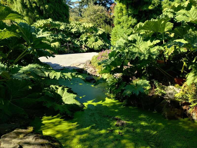 Vancouver City Tour: The Only Full Small-Group Car Tour - English Bay, Kitsilano, and the coastal side of Vancouver