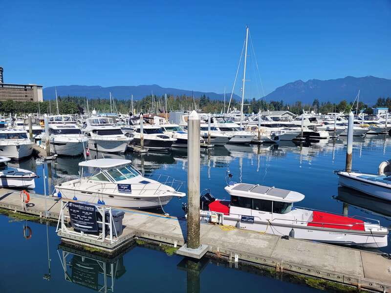 Vancouver City Tour: The Only Full Small-Group Car Tour - Is the $204 price good value?