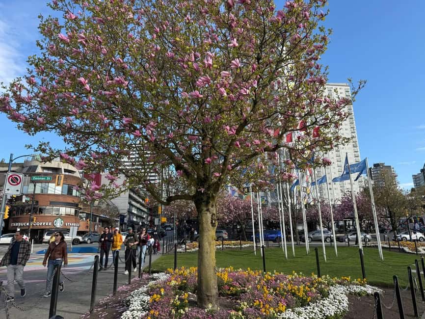 Vancouver City Tour+VipCar+Stanley Park+ChinaTown/SmallGroup - Ending at Canada Place