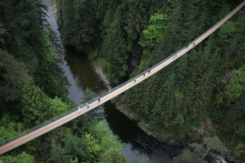 Vancouver: City Tour with Capilano Suspension Bridge - Why this five-hour combination works