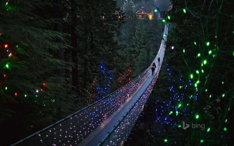 Vancouver: City Tour with Capilano Suspension Bridge - Starting from Vancouver at 10am