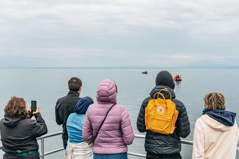 Vancouver: Covered Whale Watching Adventure with Free Photos - The guide makes the difference on a quiet day
