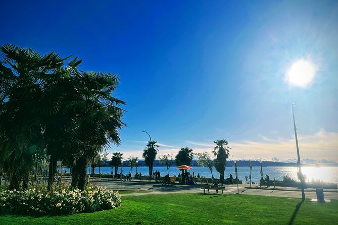 Vancouver Cruise Transfers/ Pre & Post Cruise City Sightseeing Tour Private - Robson Street and Chinatown fill out the city view