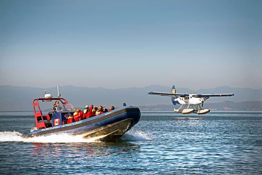 Vancouver: Day Trip to Victoria Seaplane with Whale Watching - Three hours with Orca Spirit Adventures