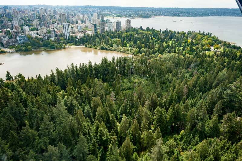 Vancouver: Extended Scenic Panorama Seaplane Tour - The return over the harbour and city landmarks