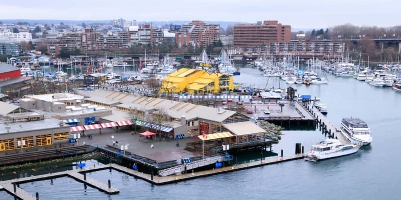 Vancouver: Granville Island Small Group Food Walking Tour - Flatbread with False Creek views