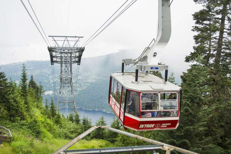 Vancouver Grouse Mountain Express With Gondola Ride - Three hours among bears, birds, and mountain activities