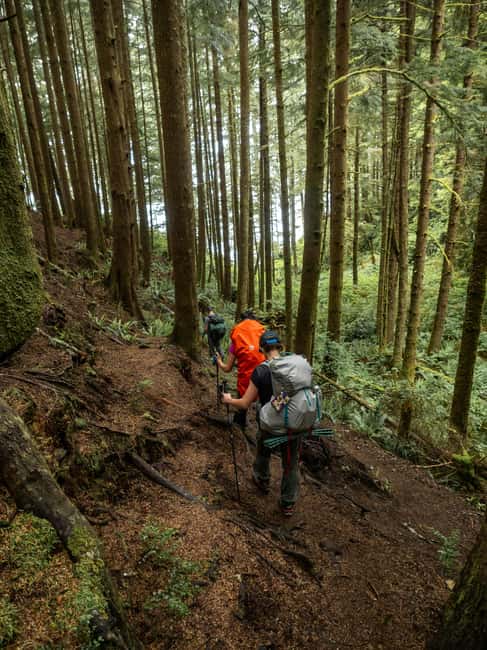 Vancouver: Guided Hiking Highlights at Grouse & Lynn Canyon - Key points to know before booking