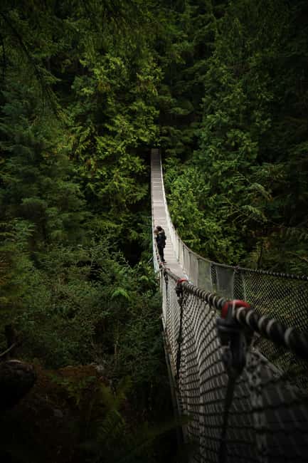 Vancouver: Guided Hiking Highlights at Grouse & Lynn Canyon - The Grouse Grind: 2.5 kilometers straight uphill