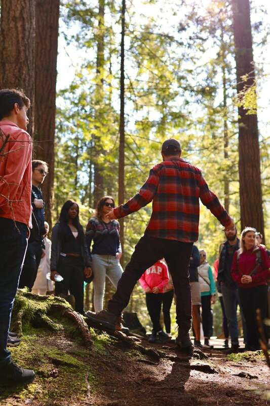 Vancouver: Guided Hiking Highlights at Grouse & Lynn Canyon - Lynn Canyon and its 50-meter suspension bridge
