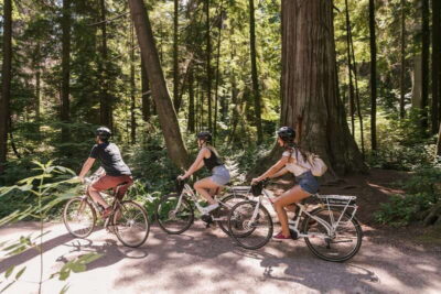 Half-Day City Highlights E-Bike Tour Age 16+