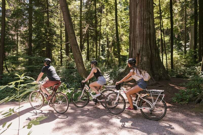 Vancouver: Half-Day City Highlights E-Bike Tour Age 16+ - Stanley Park starts with trees, water, and city views