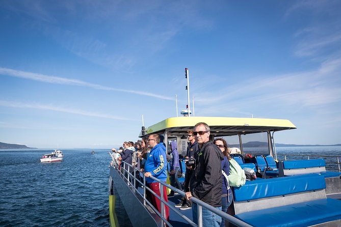 Vancouver Half-Day Whale Watching Adventure with Free Photos - Free photos let you watch the animals