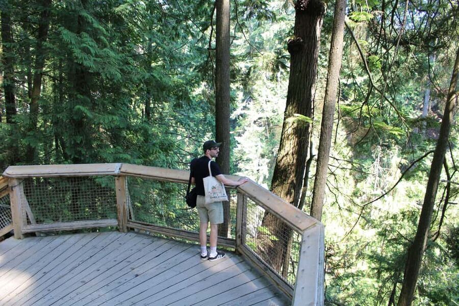 Vancouver Highlights: Capilano Bridge & Granville Island - A five-hour route from downtown towers to cedar forest
