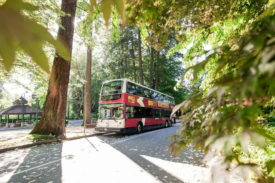 Vancouver: Hop-on Hop-off Sightseeing Tour with 10 Stops - Stanley Park deserves more than a quick glance