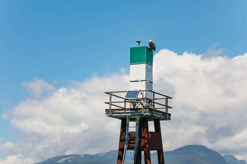 Vancouver: Indian Arm and Granite Falls Zodiac Boat Tour - Comfort, weather, and practical planning