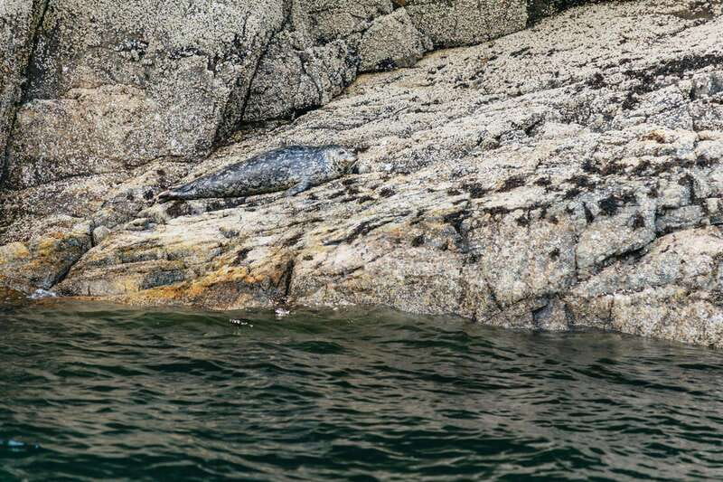 Vancouver: Indian Arm and Granite Falls Zodiac Boat Tour - Under the Lion’s Gate Bridge