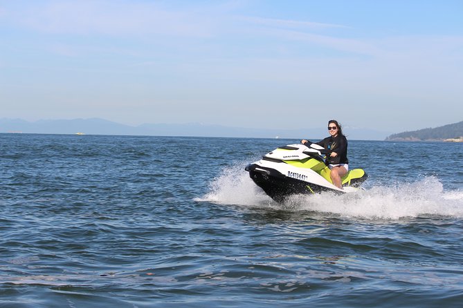 Vancouver Jetski Tour with Dinner on Bowen Island - Pausing near the seal colony
