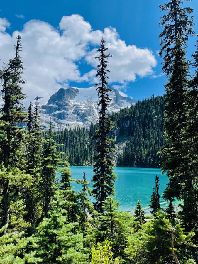 Vancouver: Joffre Lakes Park Hike and Whistler Day Trip - The steeper trail to Middle and Upper Joffre Lakes