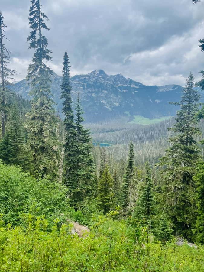 Vancouver: Joffre Lakes Park Hike and Whistler Day Trip - Who will enjoy this day most?