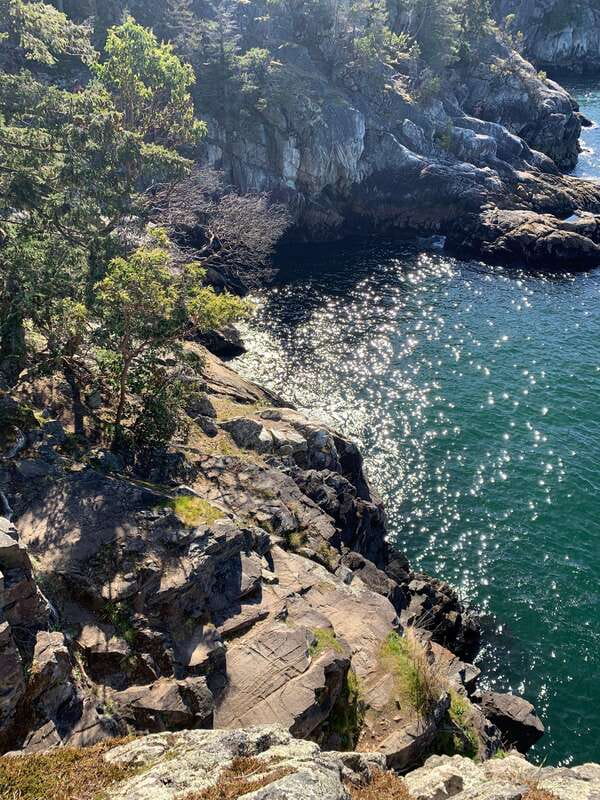 Vancouver: Lighthouse Park Hike - The pickup and drive through Stanley Park