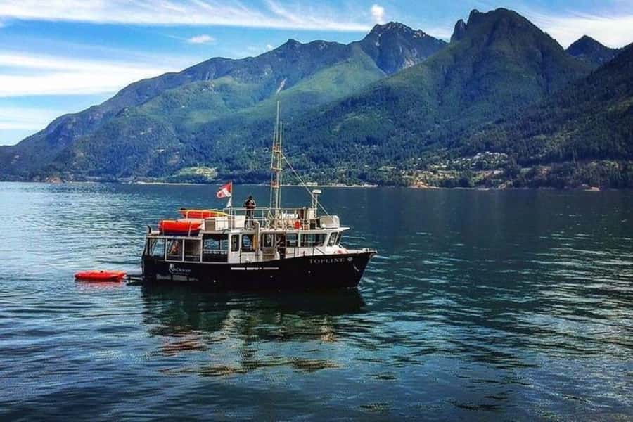Vancouver: Morning Kayak & Seal Cruise - Key points at a glance