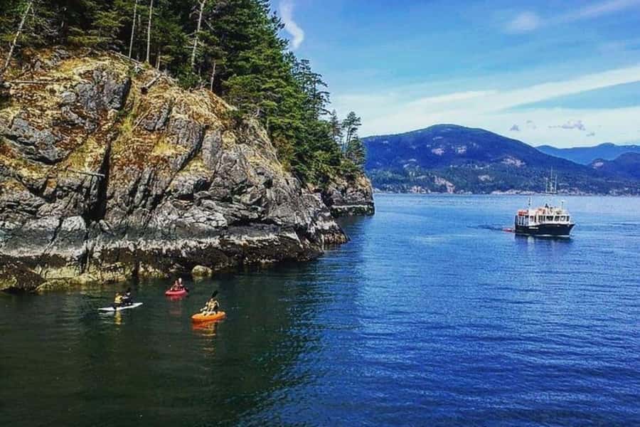 Vancouver: Morning Kayak & Seal Cruise - A gentle start from Horseshoe Bay