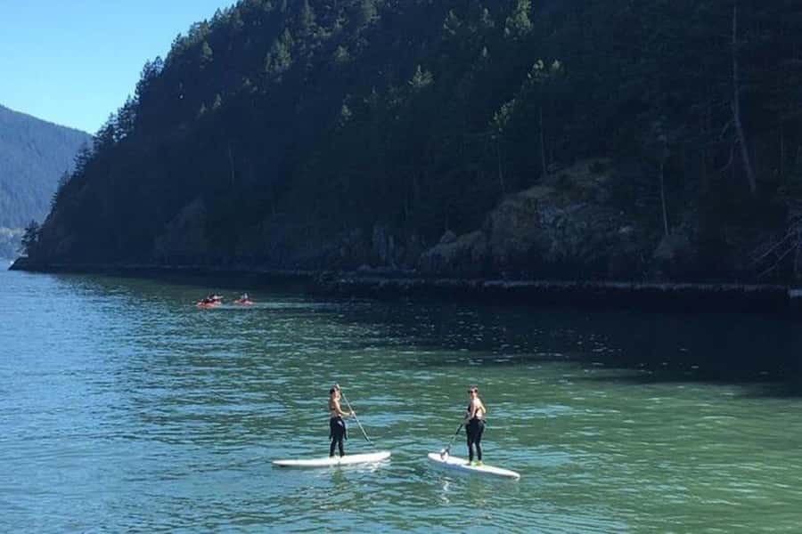 Vancouver: Morning Kayak & Seal Cruise - Howe Sound views and marine wildlife