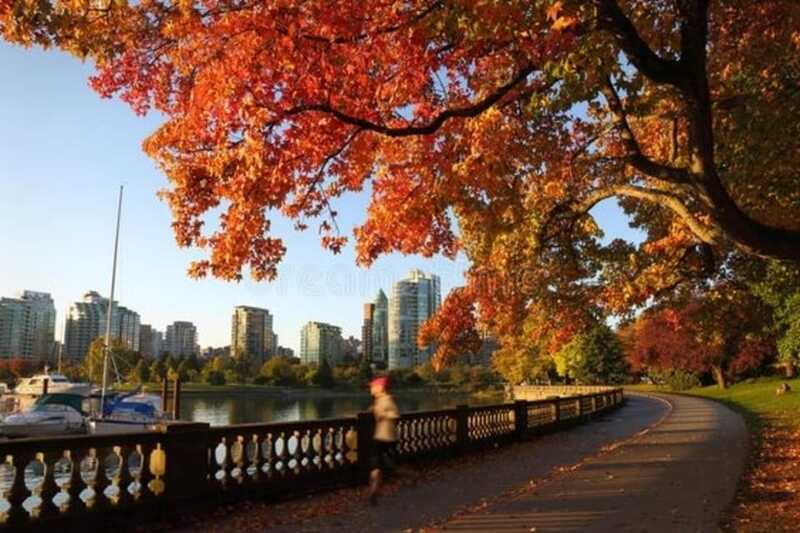 Vancouver : Must-See Attractions Walking Tour With A Guide - Walking, timing, and physical comfort