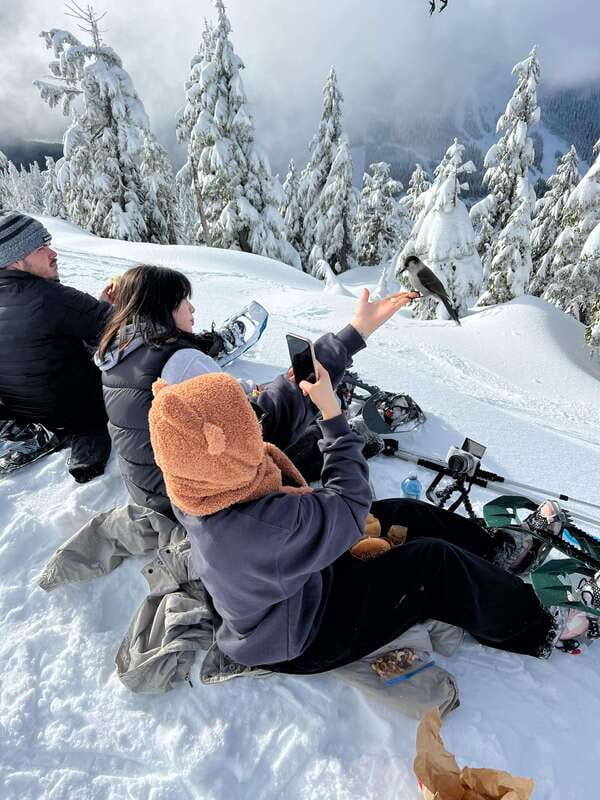 Vancouver: North Shore Mountains Snowshoeing with Transfer - From downtown Vancouver to a snowy mountain trail