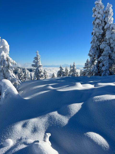 Vancouver: North Shore Mountains Snowshoeing with Transfer - Why the small group matters