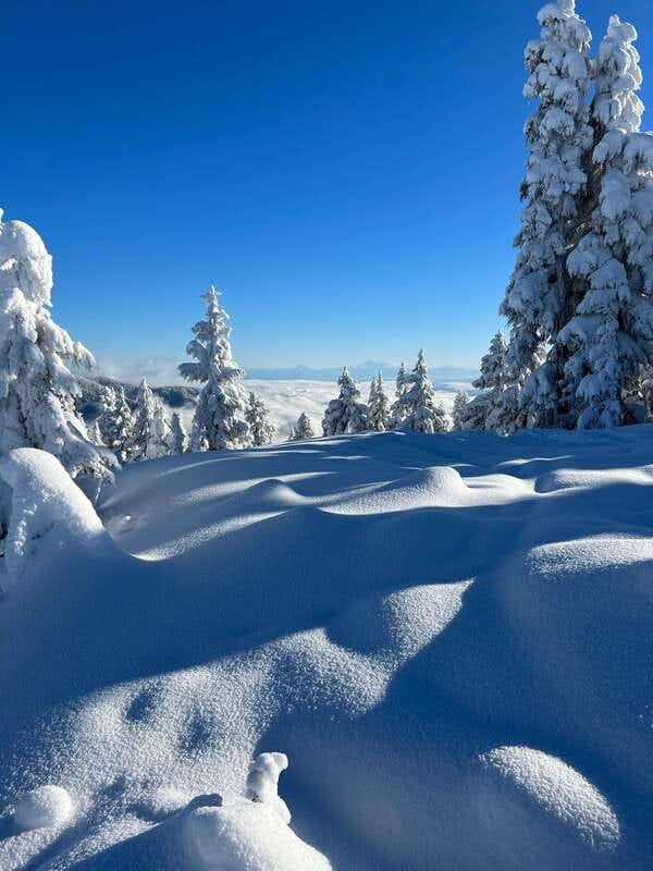 Vancouver: North Shore Mountains Snowshoeing with Transfer - What to wear and pack