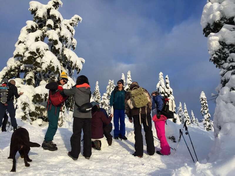 Vancouver: Panoramic View Hiking Tour - Starting from downtown Vancouver