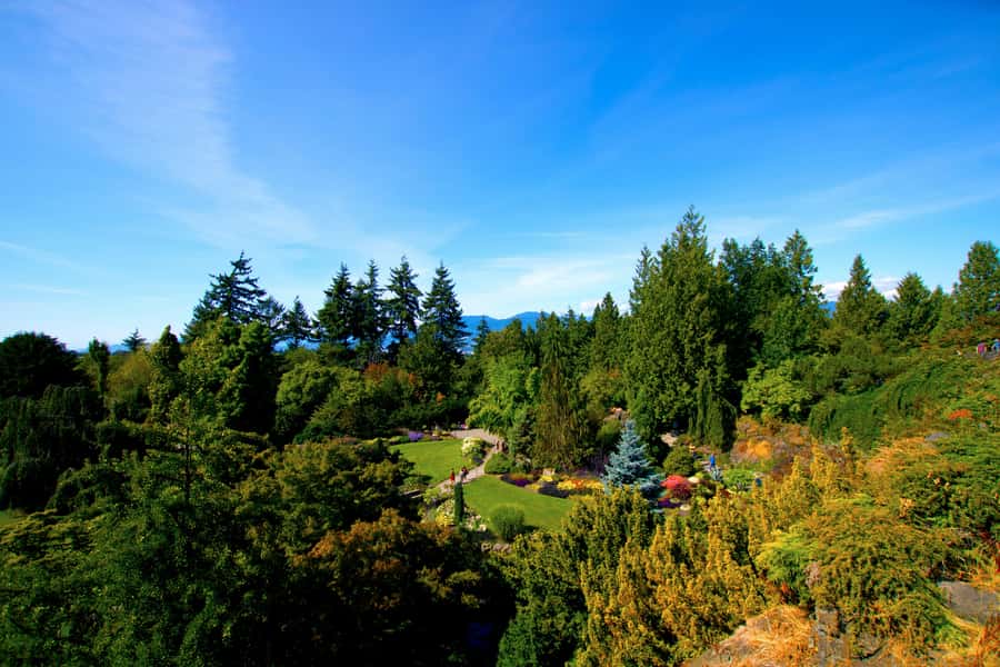 Vancouver: Private City Sights Tour by Minibus (3hrs) - The West End and English Bay