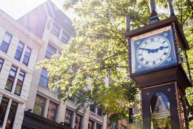 Vancouver: Private & Custom Half-Day Tour with a Local - What the guides add