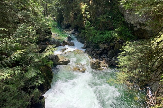 Vancouver Rainforest Hike with Waterfalls, Suspension Bridge, Old Growth Forest - From Burrard Street to Lynn Canyon
