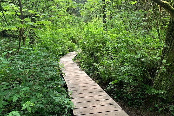 Vancouver Rainforest Hike with Waterfalls, Suspension Bridge, Old Growth Forest - Twin Falls, creek trails, and old-growth trees