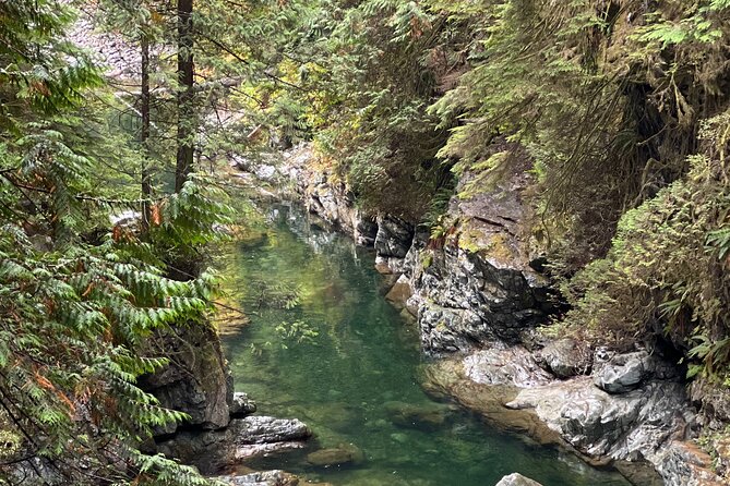 Vancouver Rainforest Hike with Waterfalls, Suspension Bridge, Old Growth Forest - What Adrian adds to the morning
