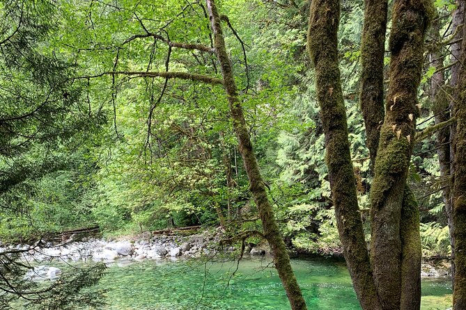 Vancouver Rainforest Hike with Waterfalls, Suspension Bridge, Old Growth Forest - How difficult is the hike?