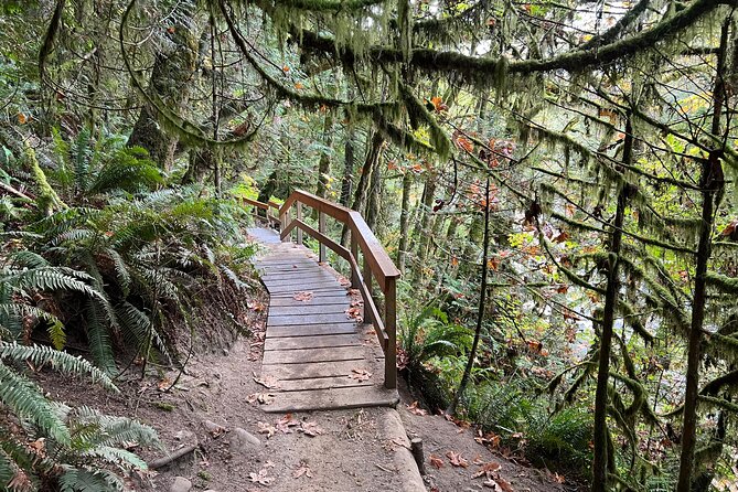 Vancouver Rainforest Hike with Waterfalls, Suspension Bridge, Old Growth Forest - Is $58.56 good value?